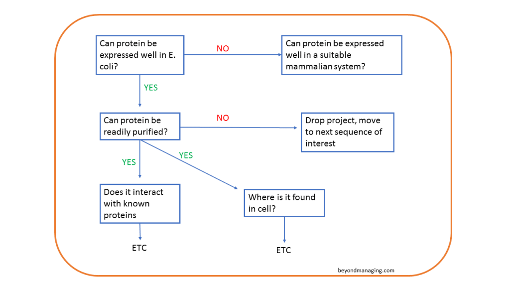 ExampleDecisionTree