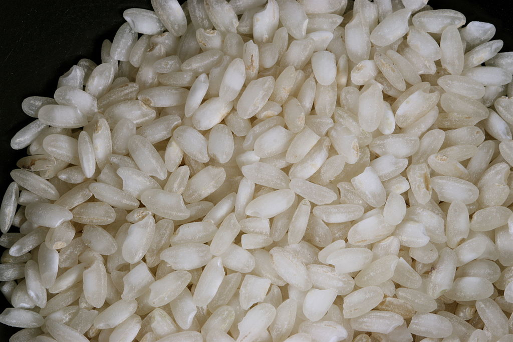 Grains of arborio rice
